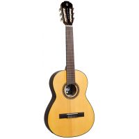 Pleyel Guitare Classique 